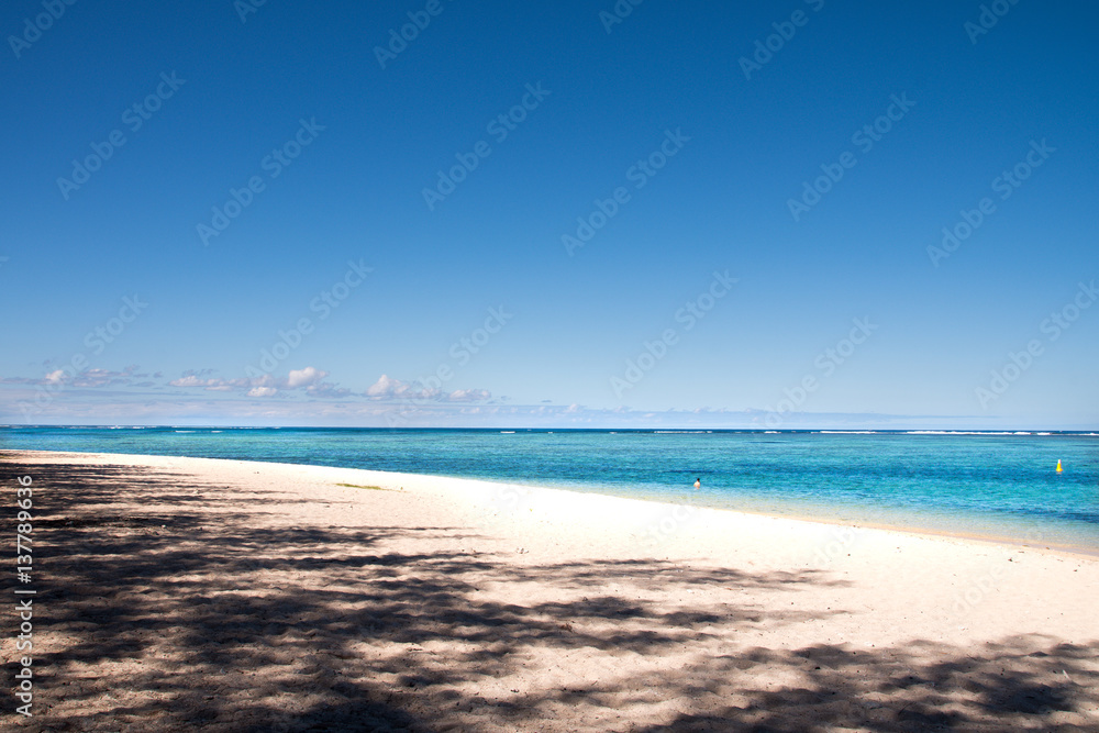 Fototapeta premium Empty sandy beach with clear turquoise water - Mauritius