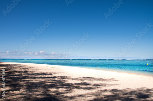Fototapeta Naklejka Na Ścianę i Meble -  Empty sandy beach with clear turquoise water - Mauritius