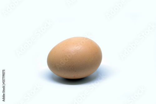 Single egg isolated on bright background.