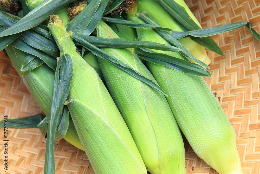Fototapeta premium Fresh raw corns