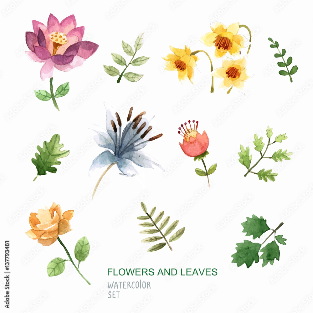 Set of watercolor vector flowers and leaves in vector. Perfect floral elements for save the date card.