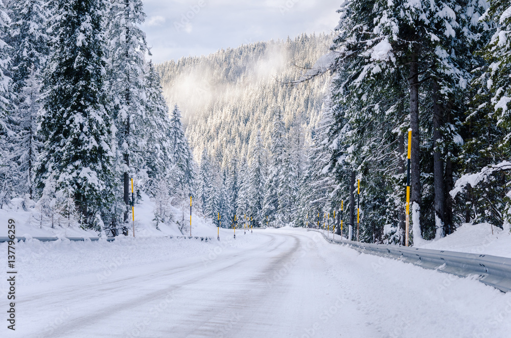Fototapeta premium Icy Alpine Road through a Forest on a Cloudy Winter Day