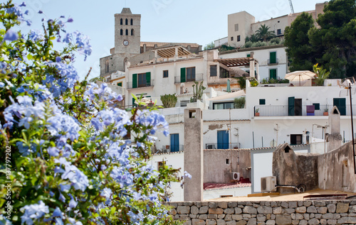 Old town with fortress in Ibiza, blossom tree on the foreground. Popular touristic route. Architecture of Balearic Islands. photo