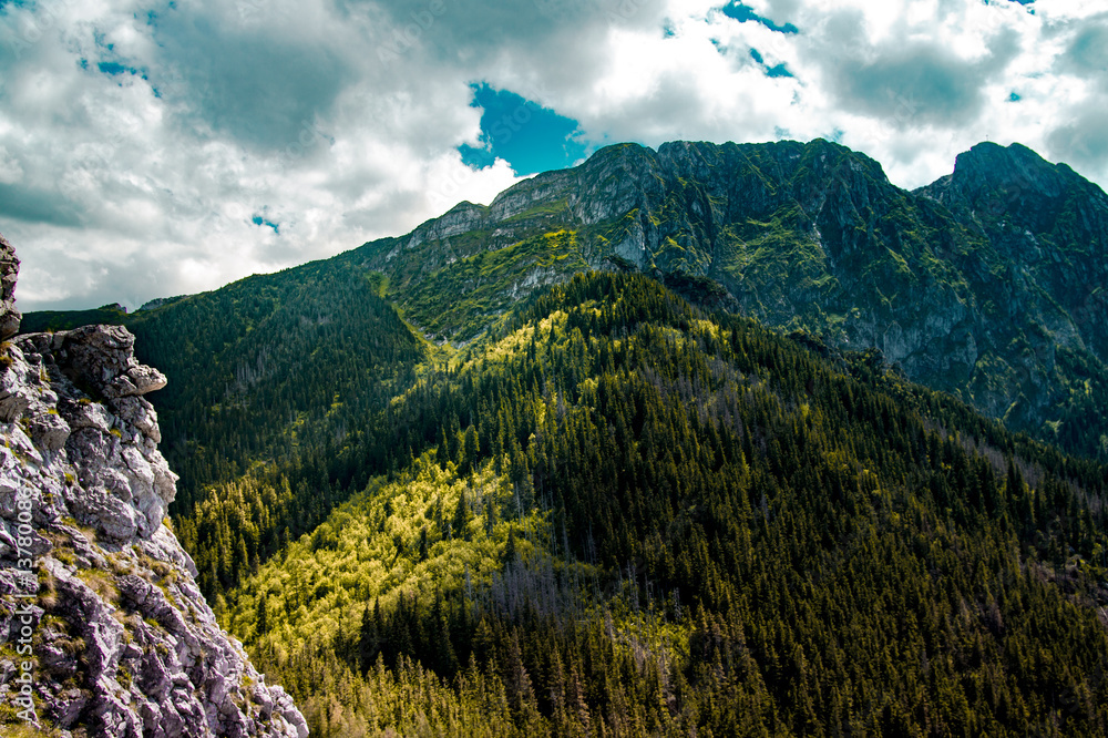 Obraz premium Mountains landscape with colorful forest