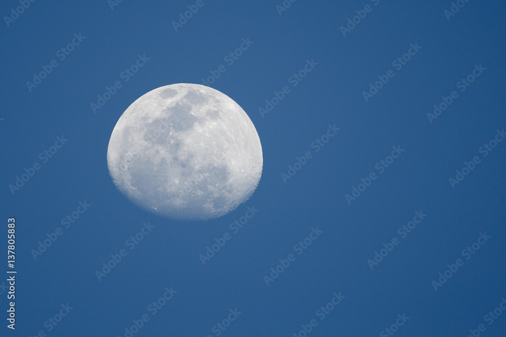 Nearly full moon, Cape Coral, Florida, USA