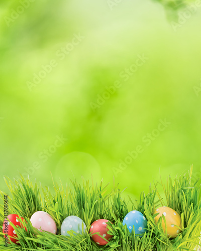 Row of Easter eggs in Fresh Green Grass