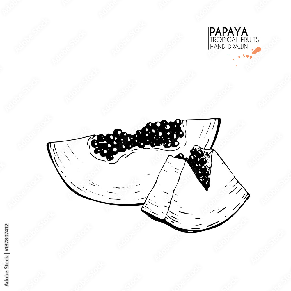 Vector hand drawn set of exotic fruits. Isolated papaya. Engraved art. Delicious tropical vegetarian objects. smoothie bowls. Vector hand drawn set of exotic fruits. Isolated papaya. Engraved art. Delicious tropical vegetarian objects. smoothie bowls.