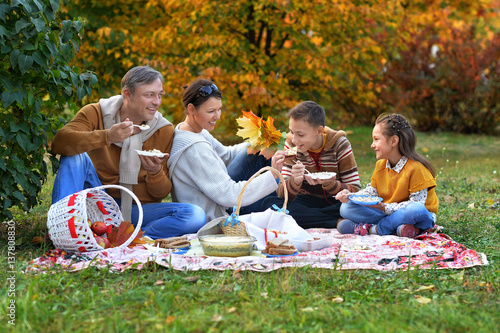 family having a picnic  in the park