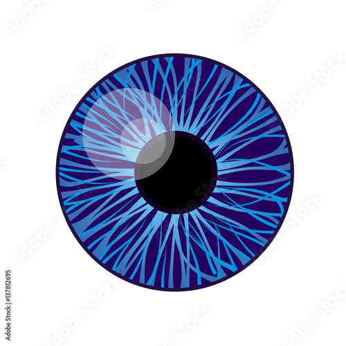 iris eye
