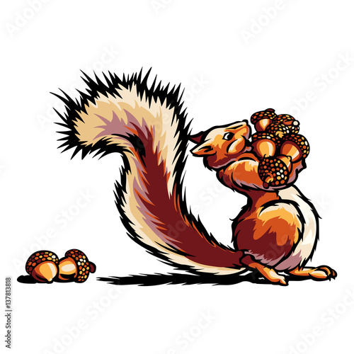 Cartoon bushy tailed squirrel running with it's arms full of nuts.
