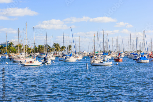 Εκτύπωση καμβά Coconut grove marina in south miami florida in blue sky background