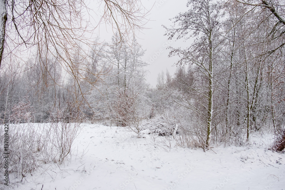Just after the snow fell Just after the snow fell