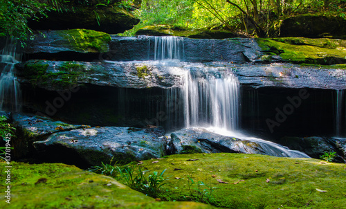 Fototapeta Naklejka Na Ścianę i Meble -  Waterfall in deep forest, where there is an abundance of nature.