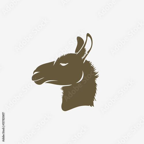 Lama