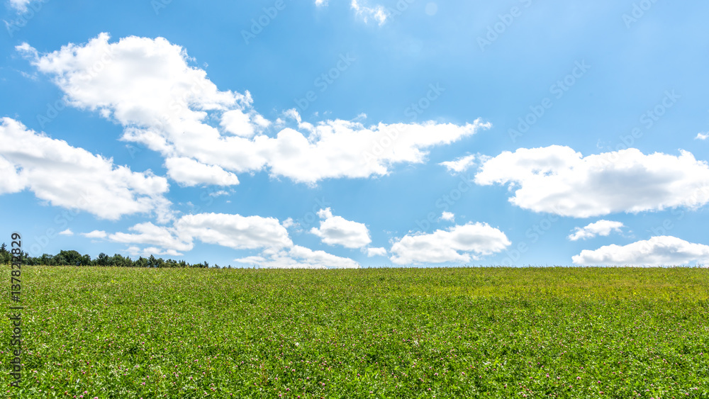 Wiese und blauer Himmel mit Wolken