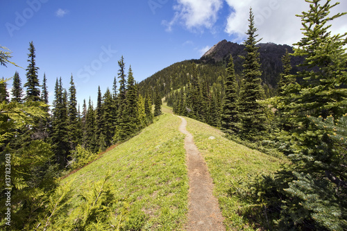 Fotografia Hiking trail heads up a steep mountain ridge