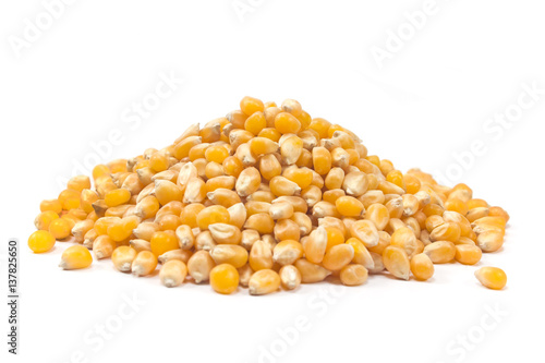 Pop corn seed isolated on white