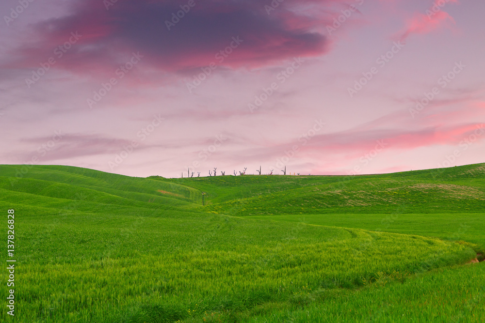 Tuscany landscape, beautiful green hills springtime Tuscany landscape, beautiful green hills springtime