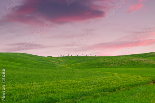 Tuscany landscape  beautiful green hills springtime