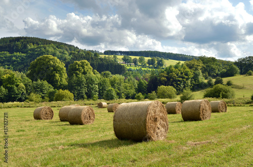 Round hay bales on a recently harvested field in a hilly landscape of the Belgian Ardennes.