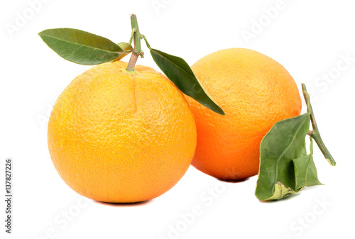 Two orange fruit with leaves