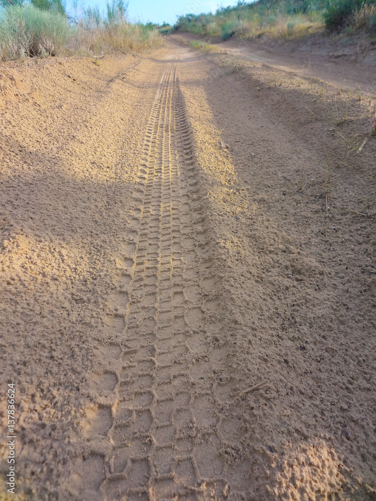 Naklejka premium SUV wheel trace on the desert road after the rain in the Western Kazakhstan