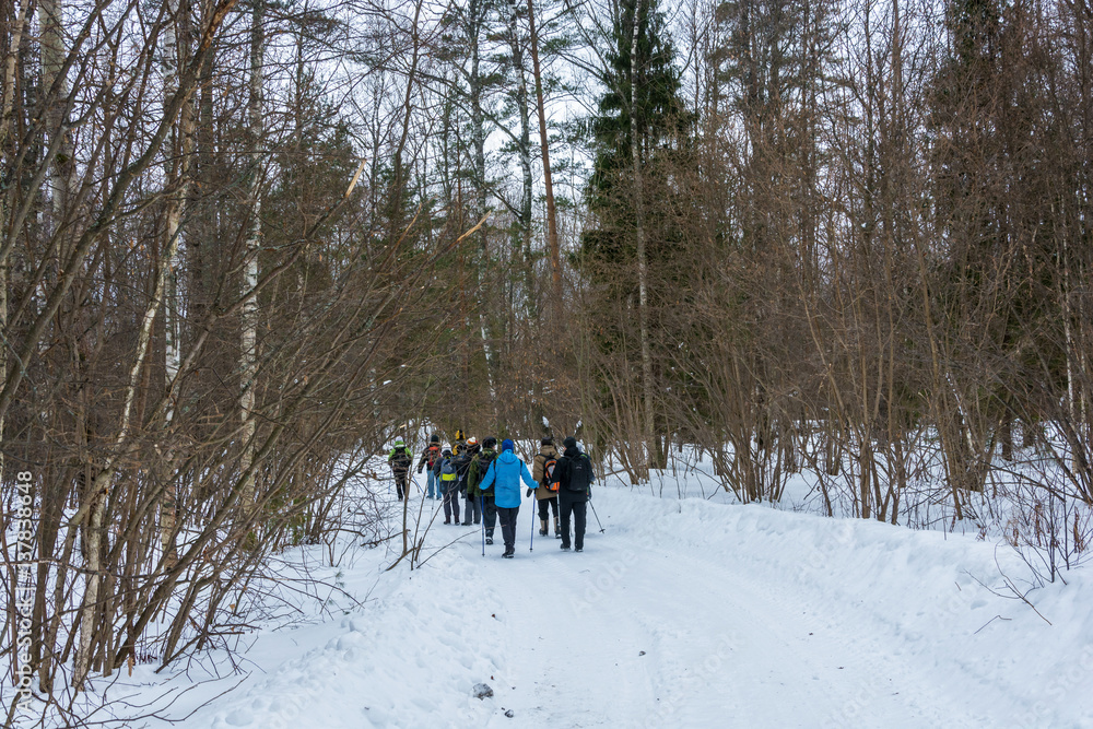 A small group of tourists traveling on snow-covered forest.