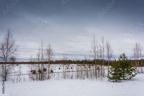 Wallpaper Mural Beautiful winter landscape. Torontodigital.ca
