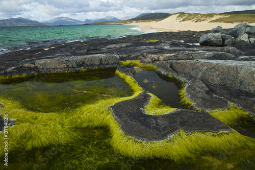 Algae growing in a pool on a rock, Scarista Beach, Sound of Taransay, South Harris, Outer Hebrides, Scotland, UK, June 2009 photo