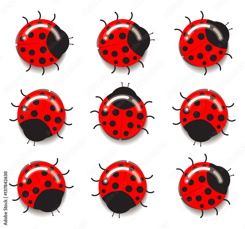 Fototapeta premium Ladybug icon. Flat design. Vector illustration.