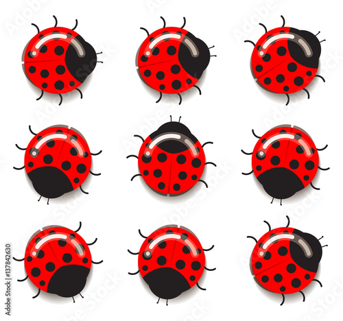 Ladybug icon. Flat design. Vector illustration.