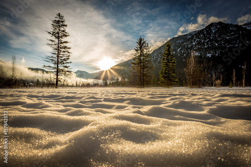 Winterwonderland_1