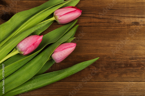 Pink tulips on a wooden background. Mother s Day. Spring flowers