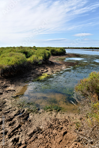 Marais salins