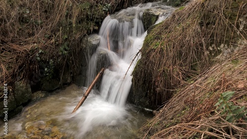 Water stream. Slovakia