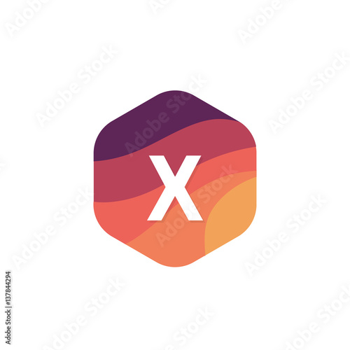 Flat isolated X letter logo hexagon shape sign company icon vector design