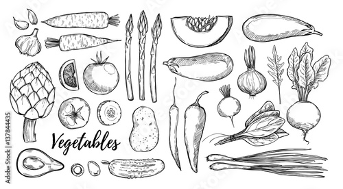 Hand drawn vector illustrations - collection of vegetables (carrots, potatoes, garlic, tomatoes, asparagus, artichoke, pumpkin, spinach). Design elements in sketch style. Perfect for posters