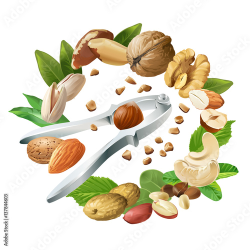 Vector illustration of nutcracker and nuts