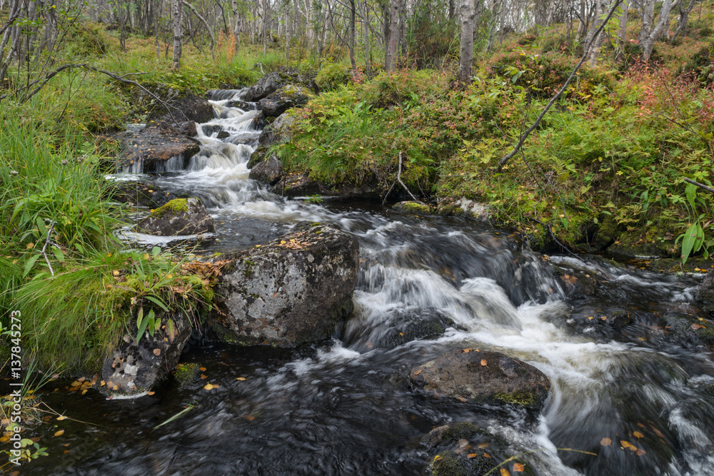 Stream in the autumn forest. Stream in the autumn forest.