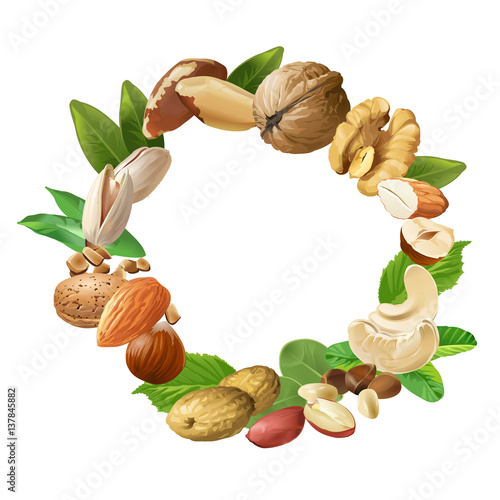 Vector illustration of nuts
