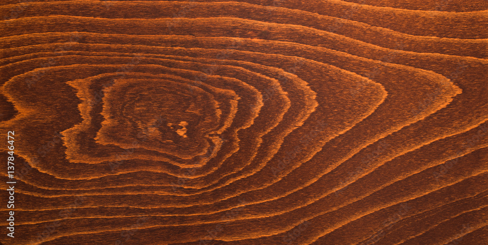 Naklejka premium natural beech texture, brown color
