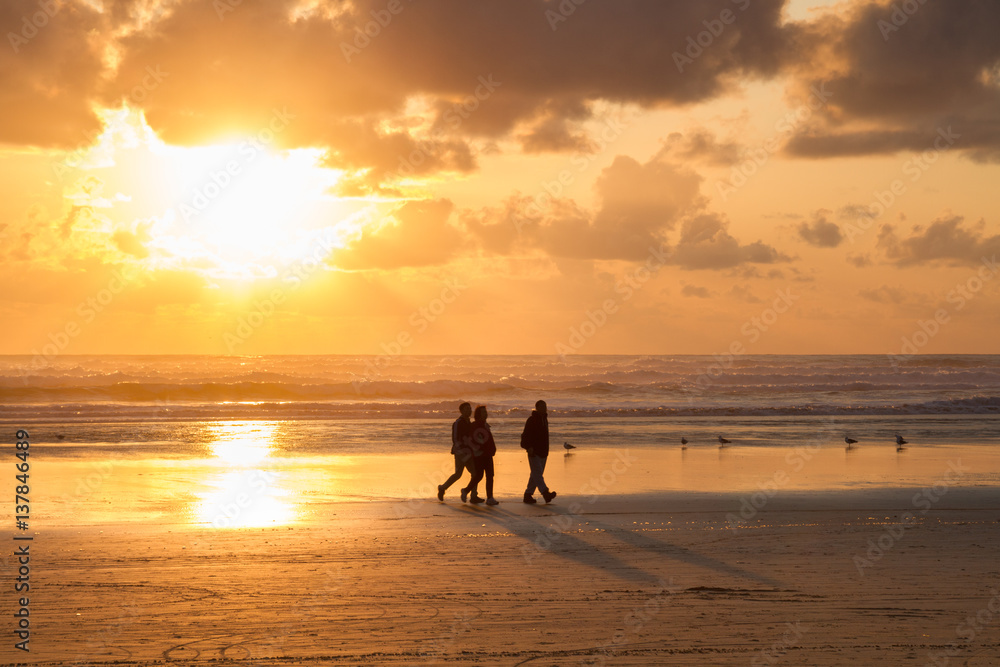 Obraz premium Walking on the Beach
