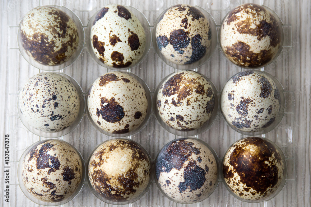 Fototapeta premium Organic quail eggs in a plastic box