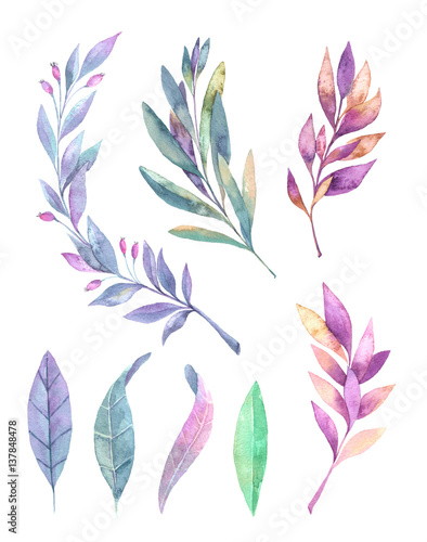 Hand drawn watercolor illustration. Spring leaves and branches. Floral design elements. Perfect for invitations, greeting cards, blogs, posters and more © Kate Macate