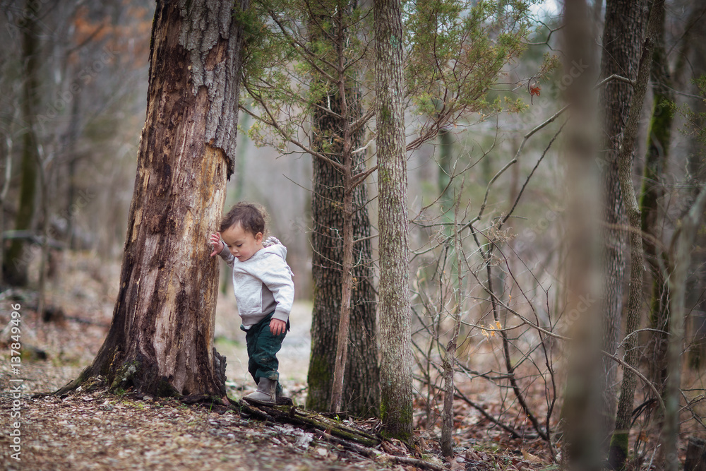 Toddler boy exploring forest Toddler boy exploring forest