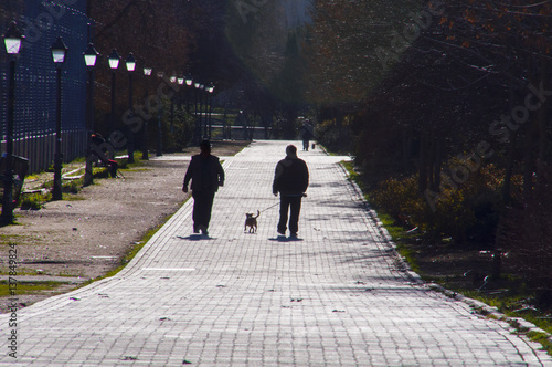 Paseo con perros a contraluz