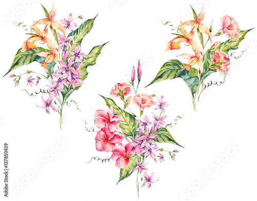 Set of watercolor tropical vintage floral bouquet of exotic flow