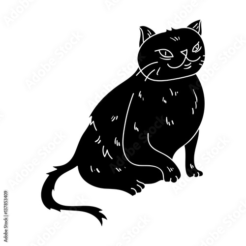 York Chocolate icon in black style isolated on white background. Cat breeds symbol stock vector illustration.