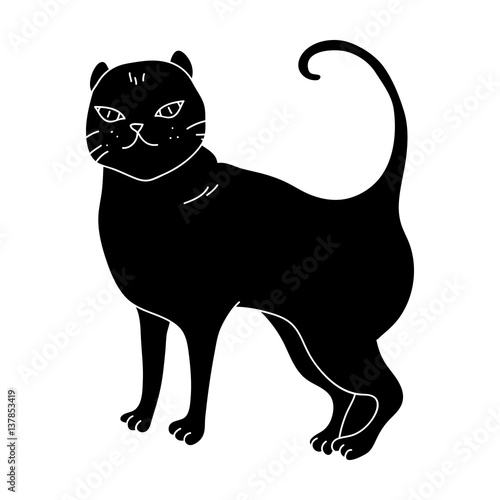 British Shorthair icon in black style isolated on white background. Cat breeds symbol stock vector illustration.