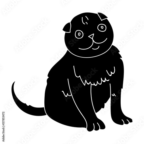 Scottish Fold icon in black style isolated on white background. Cat breeds symbol stock vector illustration.